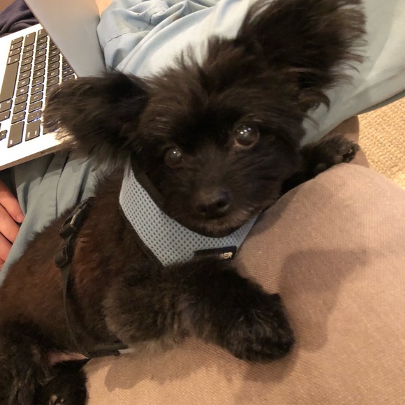 Meet your Posher, Keerthi - Picture 1 of 1